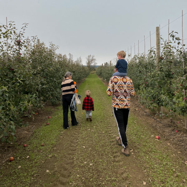 family walks in apple orchard at spurr brother farms