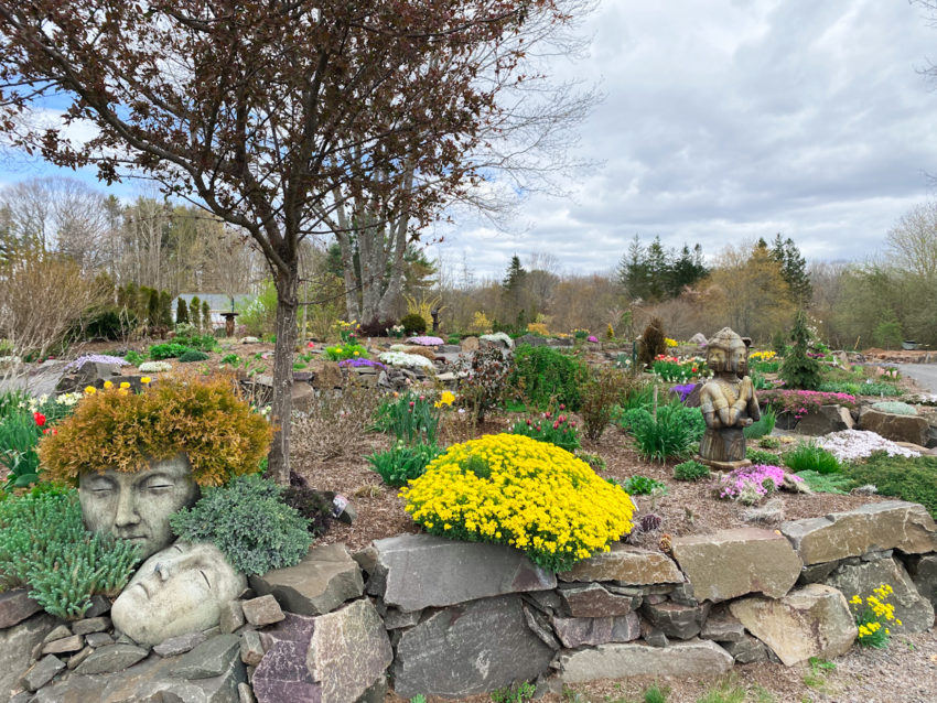 The beautiful gardens at Summerland Nursery in Wilmont