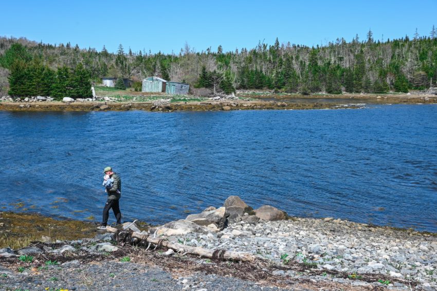 a father and baby daughter walk the shoreline at the airbnb vacation home red harbour house in lower ship harbour nova scotia