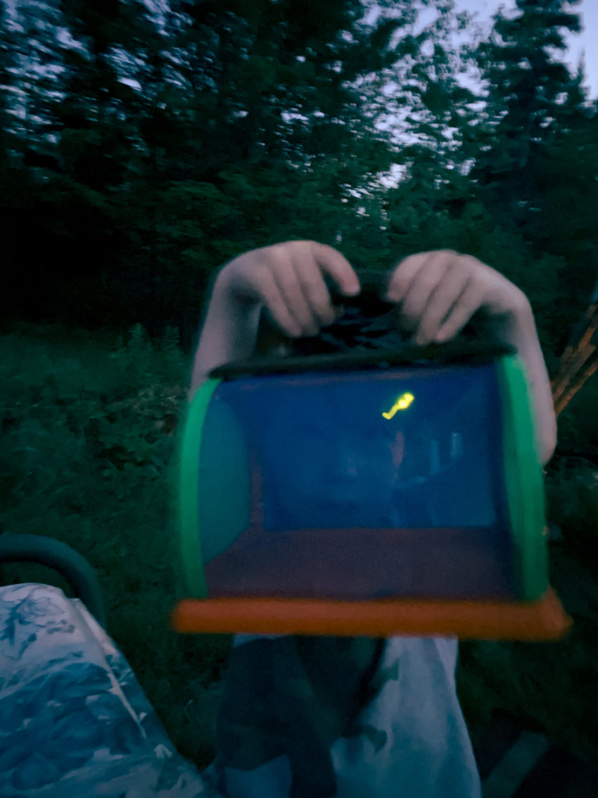 a boy holds up a firefly in a bug catcher during the summer in cape breton